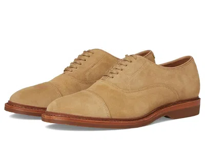 Allen Edmonds Park Verse Oxford Shoes In Brown