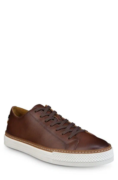 Allen Edmonds Paxton Low Top Sneaker In Dark Brown