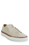 Allen Edmonds Paxton Sneaker In Light Grey