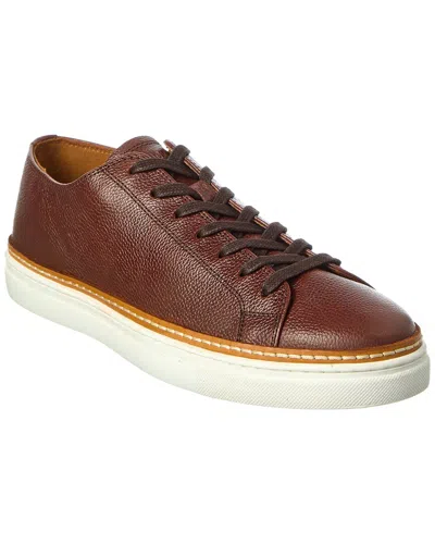 Allen Edmonds Percy Leather Sneaker In Animal Print