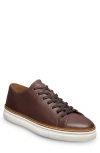 Allen Edmonds Percy Low Top Sneaker In Brown