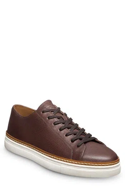 Allen Edmonds Percy Low Top Sneaker In Brown