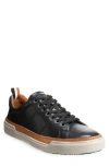 Allen Edmonds Porter City Sneaker In Animal Print