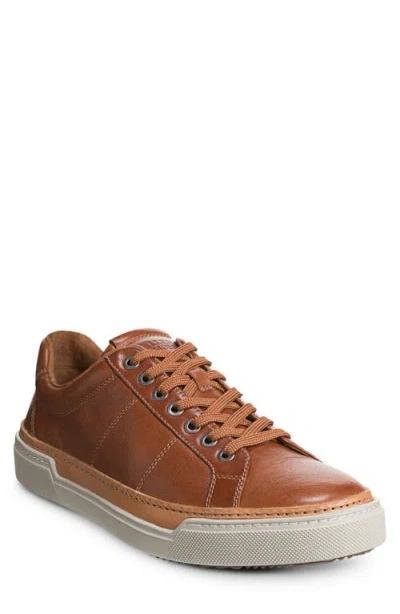 Allen Edmonds Porter City Sneaker In Brown