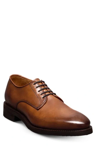 Allen Edmonds Maxwell Reserve Plain Toe Derby Dress Shoe In Brown