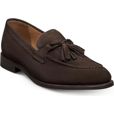 Allen Edmonds Sidney Tassel Loafer In Brown