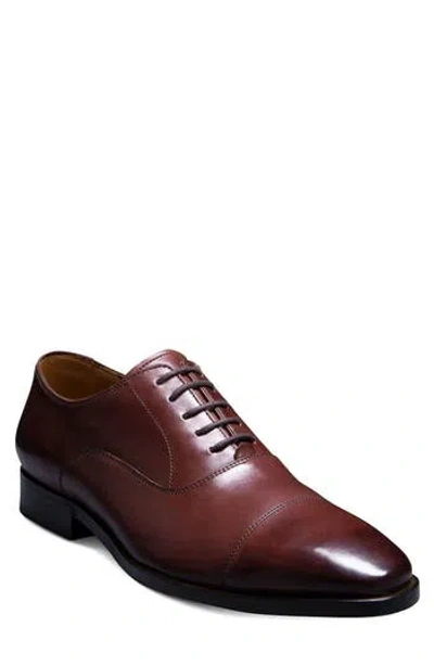 Allen Edmonds Siena Clean Cap Toe Oxford In Brown