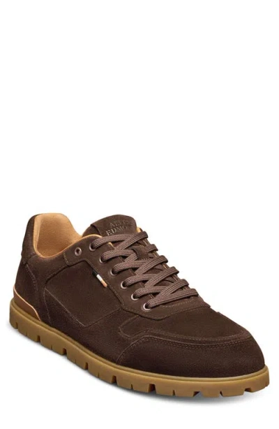 Allen Edmonds Vail Sneaker In Brown
