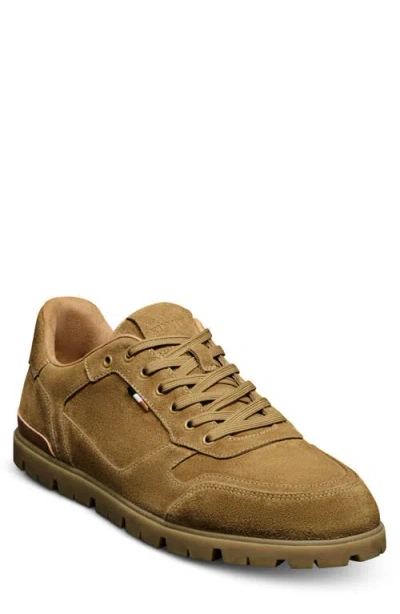 Allen Edmonds Vail Sneaker In Brown