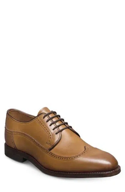 Allen Edmonds Winston Wingtip Derby In Brown