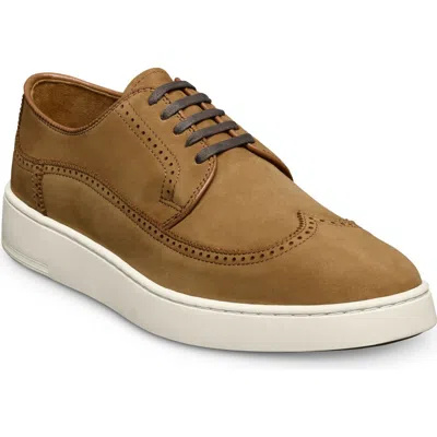 Allen Edmonds Winston Wingtip Dress Sneaker In Brown