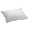 Allerease Hot Water Washable Allergy Protection 2 Pack Medium Density Bed Pillow In White
