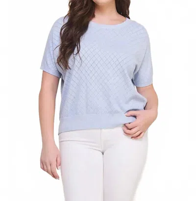 Allie Rose Short Sleeve Dolman Pointelle Top - Plus In Powder Blue