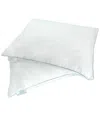 Allied Home Candice Olson Set Of 2 Down-alternative Pillows With Removable Cover