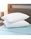Allied Home Set Of Two 120gsm Micronone Hypoallergenic Pillows