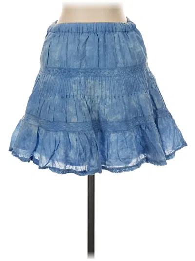 Pre-owned Allison Denim Skirt In Blue