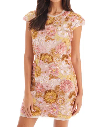 Allison New York Aria Dress In Blush Multi