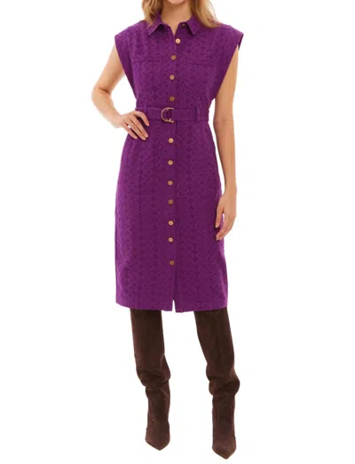 Allison New York Avril Dress In Eggplant In Purple