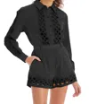 Allison New York Camila Shorts In Black In Black