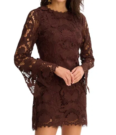 Allison New York Daisey Dress In Chocolate Brown In Burgundy