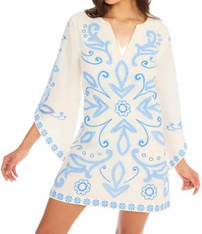 Allison New York Embroidered Alina Dress In Blue/white
