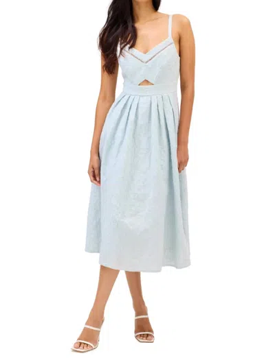 Allison New York Embroidered Natalie Midi Dress In Powder Blue