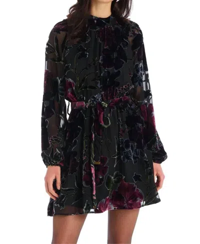 Allison New York Hannah Dress In Black Floral