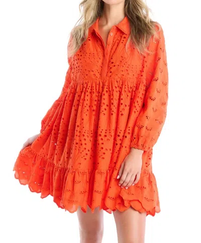 Allison New York Millie Embroidered Eyelet Dress In Cherry Tomato In Orange