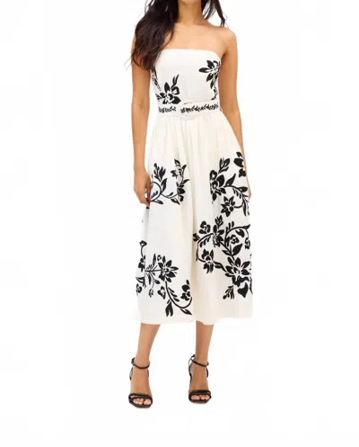 Allison New York Women's Claire Dress In Ivory/black In White