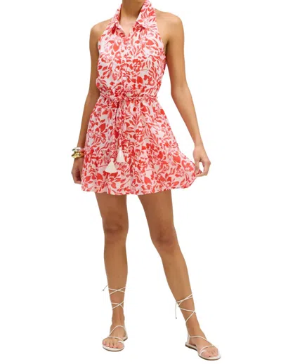 Allison New York Zoey Halter Neck Mini Dress In Red Floral In Pink