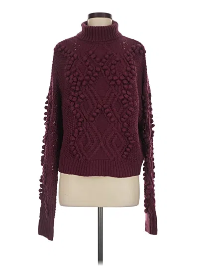 Pre-owned Allison Turtleneck Sweater In Burgundy