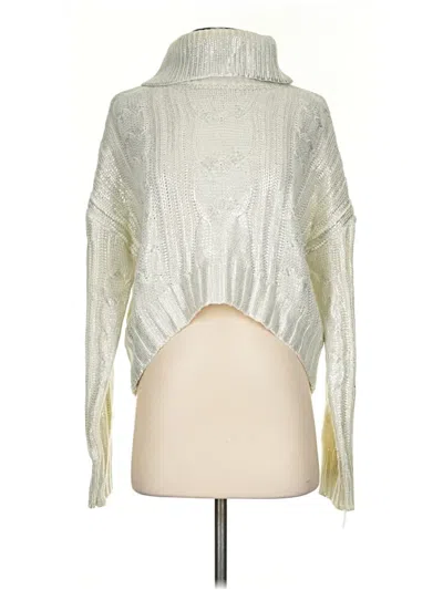 Pre-owned Allison Turtleneck Sweater In Silver