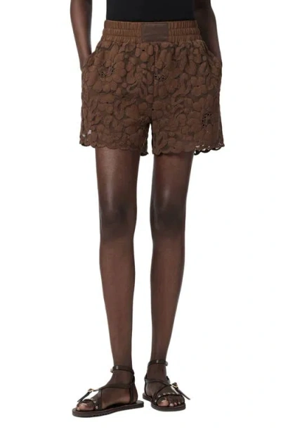 Allsaints Amelie Lace Shorts In Multi