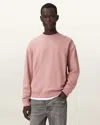Allsaints Asher Ramskull Oversized Sweatshirt In Pink