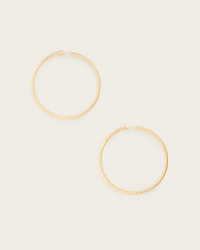 Allsaints Beck Large Hoop Earrings In Gold