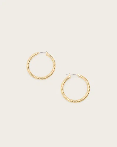 Allsaints Beck Rope Hoop Earrings In Gold