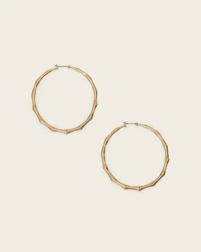 Allsaints Brass Clara Large Hoop Earrings In Pattern