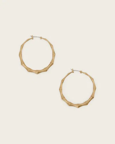 Allsaints Brass Clara Medium Hoop Earrings In White