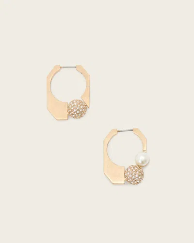 Allsaints Brass Ellie Mix Hoop Earrings In Gold