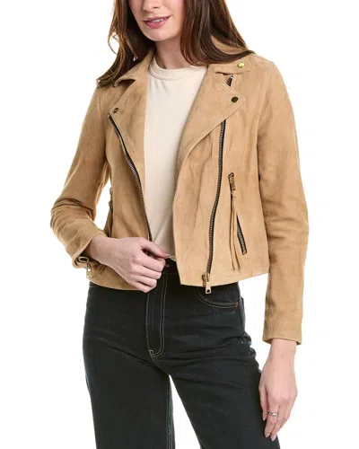 Allsaints Dalby Suede Biker Jacket In Brown