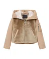 Allsaints Dexter Collared Shearling Jacket In Brown