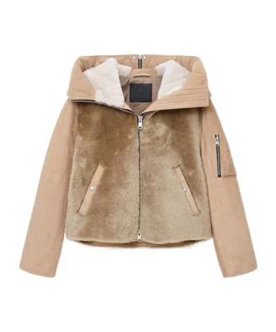 Allsaints Dexter Collared Shearling Jacket In Brown