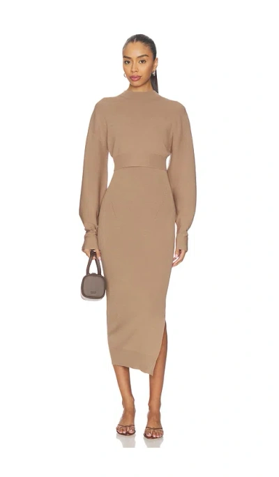 Allsaints Dinah Dress In Brown