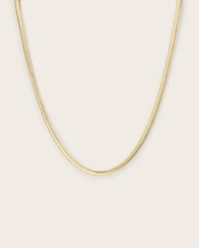Allsaints Eden Chain Necklace In Gold