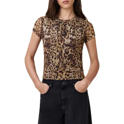 Allsaints Ellie Mesh Print T-shirt In Evia Golden Brown