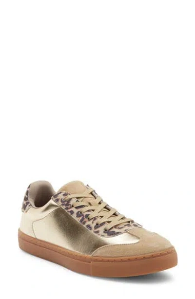 Allsaints Flip Leather Sneaker In Brown
