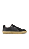 Allsaints Jaimee Low Top Sneaker In Black