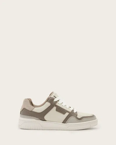 Allsaints Leather Regan Plus Low Top Trainers In Gray