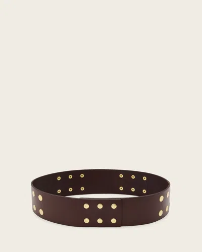 Allsaints Leather Rio Studded Leather Waist Belt In Brown