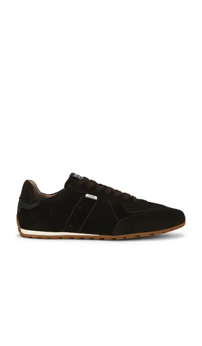 Allsaints Liam Low Top Sneaker In Brown